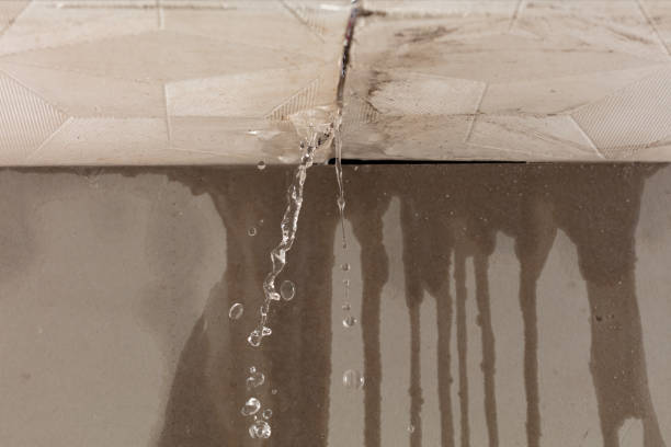 Professional Burst Pipe Cleanup technician working in Genoa, WI